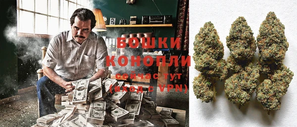 шишки Беломорск
