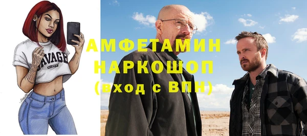 шишки Беломорск