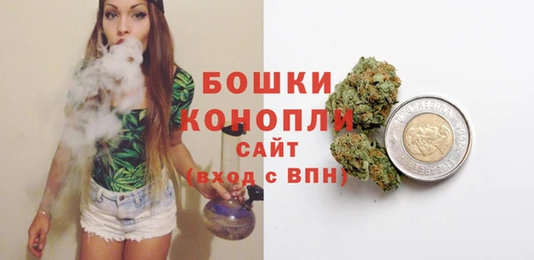 шишки Беломорск