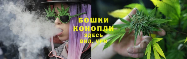 прущие крисы Белоозёрский