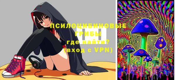 шишки Беломорск