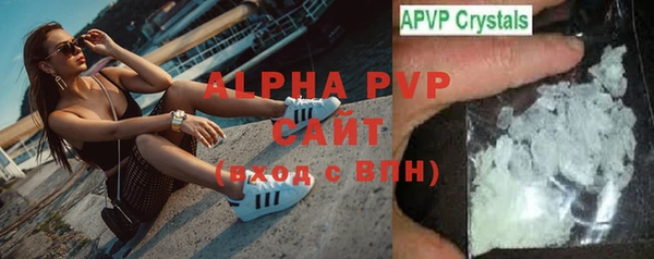 шишки Беломорск
