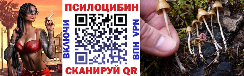 где купить наркоту  Горняк  Галлюциногенные грибы прущие грибы 